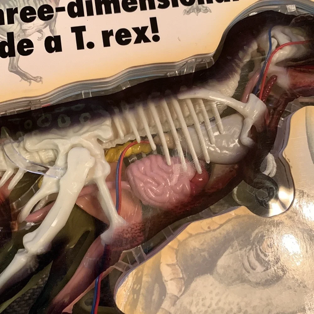 Uncover a T. Rex book 3D model dinosaur Dino anatomy facts learning ages 8+ VGUC